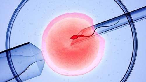 42岁可以鲜胚移植吗？成功率会相对降低！
