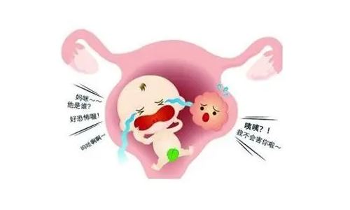 胚胎发育不好的原因有哪些？胚胎发育不好的原因有哪些？